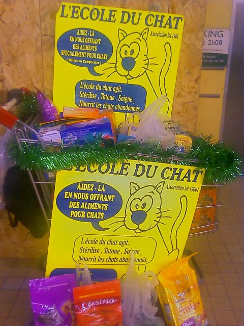 2008-01-27 Dourdan_l.jpg